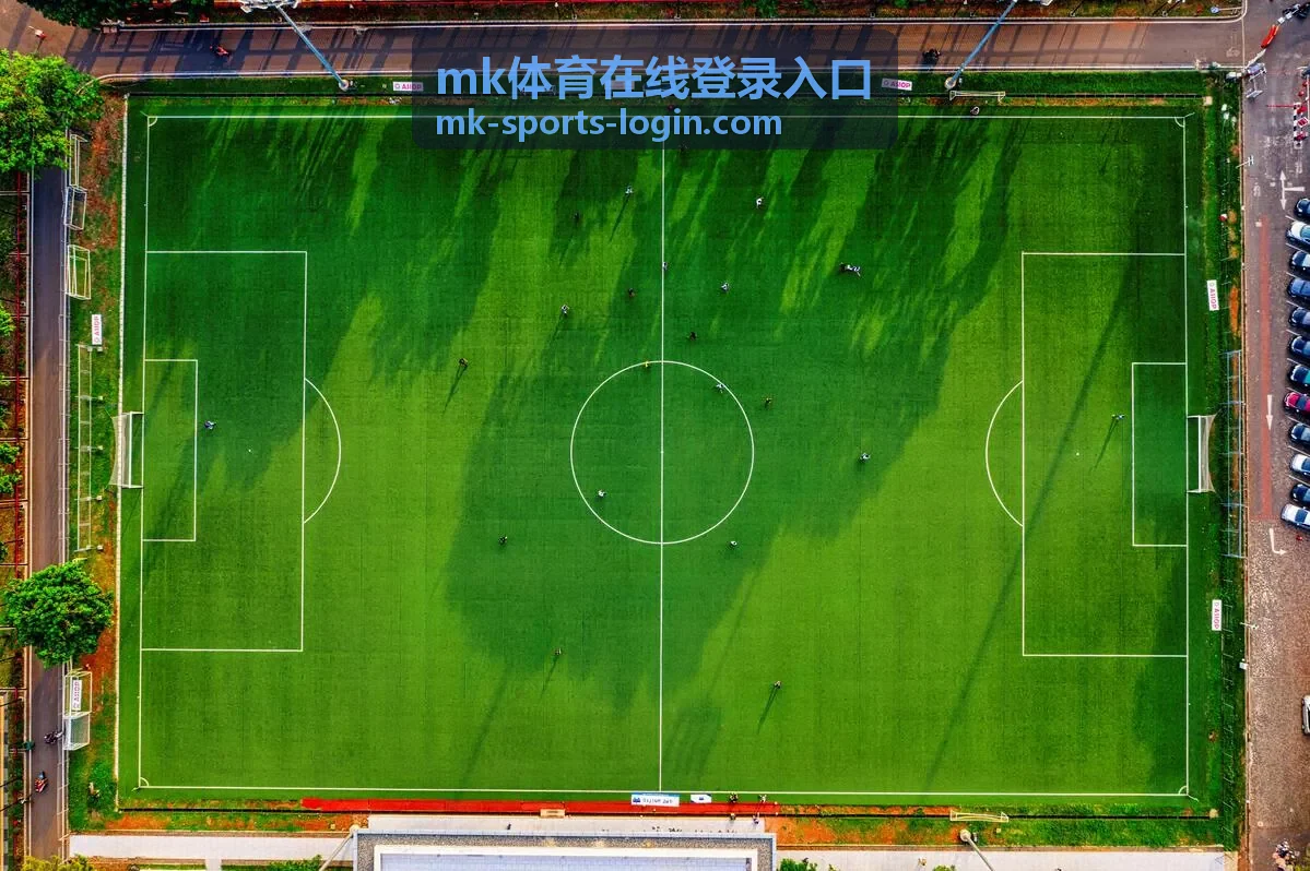 mk体育在线登录入口 账户安全